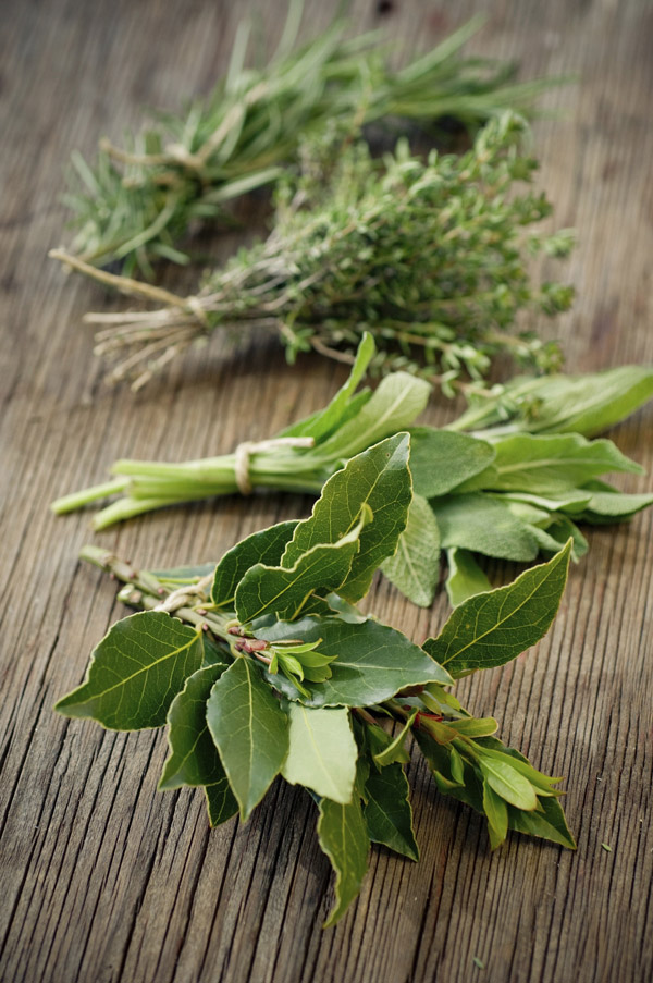 Buttermilk Herb Dressing